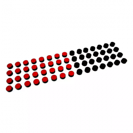 Minnesota Manual Dexterity Test