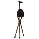 Smart Walking Stick with Chair