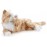 Companion Pet Cat For Elderly