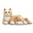 Companion Pet Cat For Elderly