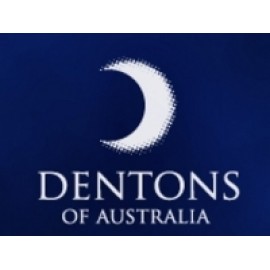 Dentons Plume Junior Pillow